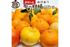 ［先行予約］家庭用 柑橘詰合せ5kg+250g（傷み補償分）［訳あり・わけあり］［IKE117］