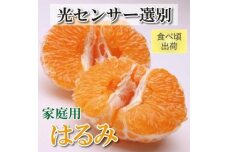 ＜2023年2月より発送＞家庭用はるみ5kg+150g（傷み補償分）【光センサー選別】【訳あり】