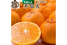 ［先行予約］家庭用 不知火2.5kg+250g（傷み補償分）［わけあり・訳あり］［IKE120］