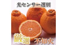 厳選 不知火3kg+90g（傷み補償分＜2月より発送＞