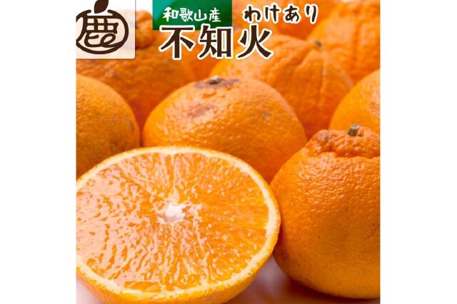 ふるさと納税 「＜2023年4月より発送＞家庭用 不知火4kg+120g：傷み補償分【光センサー食頃出荷】【訳あり】」 和歌山県九度山町 -  ふるさと納税の「ふるさとぷらす」