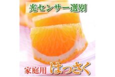 ＜1月より発送＞家庭用 はっさく10kg+300g（傷み補償分）訳あり