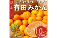 【訳あり】有田みかん 約10kg【2024年10月下旬より順次発送】