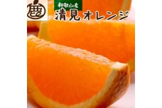 ［先行予約］厳選 清見オレンジ1kg+250g（傷み補償分）［IKE147］