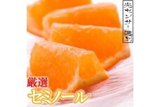 厳選セミノールオレンジ4kg+120g（傷み補償分）＜2024年4月より発送＞