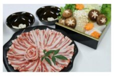 高級食材！F１イノブタ  極上お鍋セット