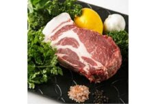 高級食材！F１イノブタ  塊肉（肩ロースorロース）５００ｇ