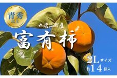 【先行予約】富有柿（青秀以上２Ｌサイズ約１４個入り）【2024年11月中旬より発送】