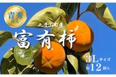 ［先行予約］富有柿（青秀以上３Ｌサイズ１２個入り）［2025年11月下旬より順次発送］