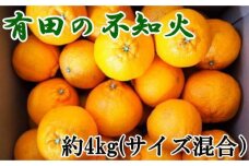 【濃厚】有田産不知火約4kg（M～3Lサイズ混合）★2025年2月上旬頃より順次発送【TM40】