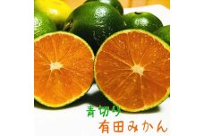 【先行予約】厳選青切り有田みかん8kg【サイズ混合】【2024年9月中旬より発送】