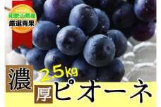 種なし ピオーネ 約2.5kg ぶどう　和歌山産  【甘さとみずみずしさが自慢】 8月下旬以降発送