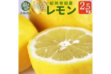 秀品　紀州有田産レモン　2.5kg【2025年3月上旬以降発送】【先行予約】