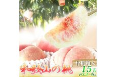 紀州和歌山産の桃 15玉　化粧箱入［2026年6月下旬より順次発送］［UT97］