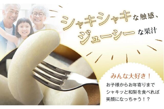 ふるさと納税 「和歌山県産 旬の梨 約2kg【2024年8月中旬以降順次発送】【MG17】」 和歌山県九度山町 - ふるさと納税の「ふるさとぷらす」