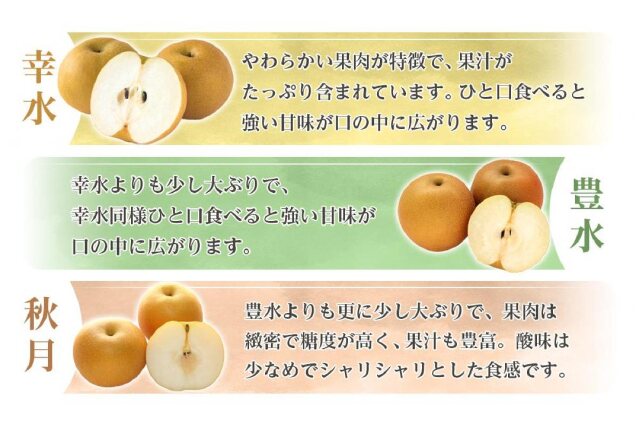 若山千麻子、【梨果】、希少な額装用画集より、新品額装付、状態良好 ふるさと納税 「和歌山県産 旬の梨 約2kg［2025年8月中旬以降順次発送