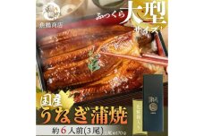 大型ふっくら国産うなぎ蒲焼き3尾化粧箱入　秋土用の丑の日のうなぎ　10月28日までにお届け　UT06