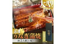 大型ふっくら国産うなぎ蒲焼き1尾化粧箱入　秋土用の丑の日のうなぎ　10月28日までにお届け　UT04