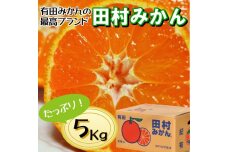 高級みかん秀 田村みかん 約5kg 【2025年11月発送分】【NGT8w】