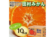 高級みかん秀 田村みかん 約10kg 【2025年12月発送分】【NGT12w】