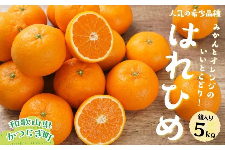 はれひめ（ミカンの希少種） 秀品  約5ｋｇ（25個～30個入）［先行予約］［KG3］