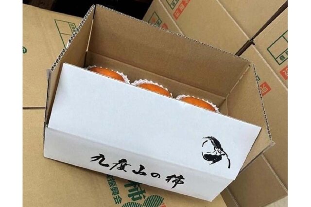 ふるさと納税 「黒くて甘い 紀の川柿 2kg ☆和歌山県オリジナル