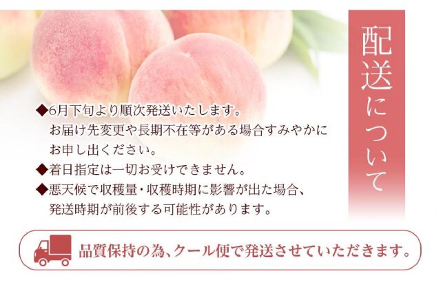 ふるさと納税 「和歌山県産 旬 の 桃 5～6玉入り 秀品【2026年6月下旬