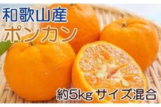 和歌山産ポンカン約5kg（サイズ混合・秀優品）★2025年2月初旬頃より順次出荷【TM136】