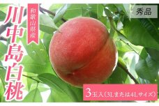 大玉限定】和歌山県産 川中島白桃 《秀品》 3玉入り（3Lまたは4Lサイズ）【7月下旬より発送】