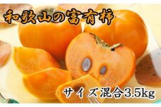 [甘柿の王様]和歌山産富有柿約3.5kgサイズ混合★ 2024年10月下旬頃より順次発送【TM4】