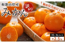 和歌山県産 糖度9.5度 以上 訳あり みかん2.5kg 3S ～ 3Ｌサイズ混合