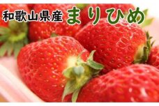 【2025年5月発送】和歌山県産ブランドいちご「まりひめ」約300g×2パック入り【TM101】