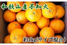 和歌山県産不知火約4kg（サイズ混合）★2025年2月下旬頃より順次発送【TM130】