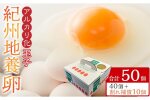 アルカリ化玉子紀州地養卵合計50個入(40個＋割れ補償分10個）卵たまご玉子