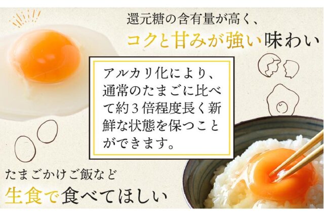 ふるさと納税 「アルカリ化玉子紀州地養卵合計50個入(40個＋割れ補償分