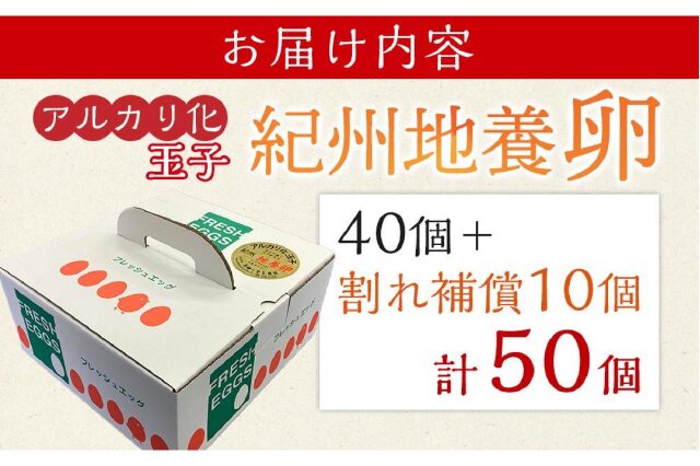 ふるさと納税 「アルカリ化 玉子 紀州地養卵 合計 50個入 (40個＋割れ