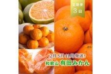 【 2・5・11月 全3回 】 柑橘定期便A【IKE7w】