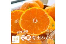 農家直送 完熟 有田みかん 約3kg［先行予約 2025年12月発送 ］［MS10-2］