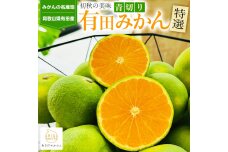 特選 青切り有田みかん 約2kg ［2025年9月中旬より発送］［MS20］