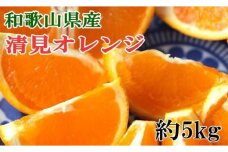 和歌山県産清見オレンジ約5kg（サイズ混合）★2025年3月中旬頃より順次発送【TM160】