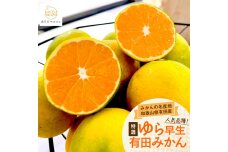 ［先行予約・2026年10月～発送］特選 ゆら早生有田みかん 2kg［サイズ混合］