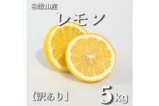 和歌山産 レモン 5kg  【訳あり】 【US1】