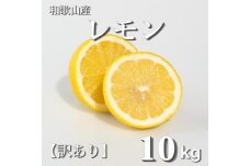 和歌山産 レモン 10kg  【訳あり】 【US3】