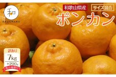 訳あり 森本農園の手選別 ポンカン 7kg  +200g傷み補償付  【北海道・沖縄・離島配送不可】