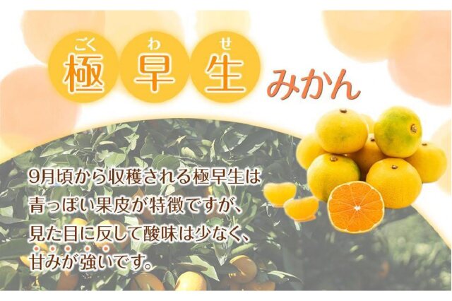 追加あり　みかんさん専用 000000000106-01-xl.jpg?t=