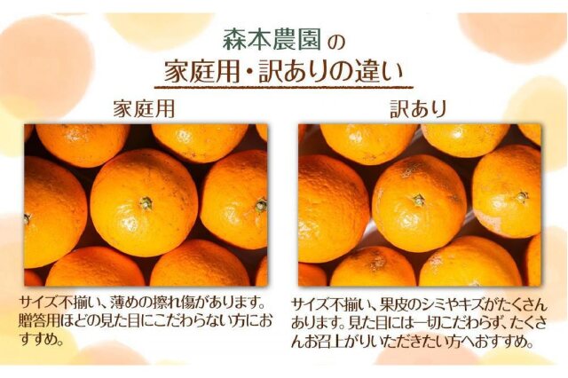 ふるさと納税 「家庭用 極早生みかん 6kg サイズ混合 ［RN28］［2025年