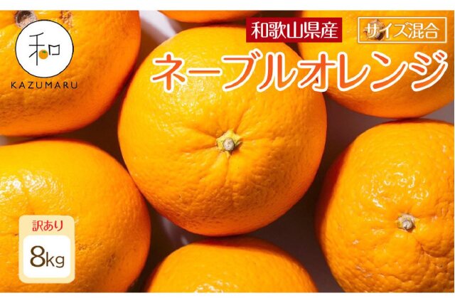 ふるさと納税 「訳あり ネーブルオレンジ 8kg サイズ混合 ［RN20