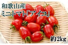 【2024年12月出荷分】和歌山産ミニトマト「アイコトマト」約2kg（S・Mサイズおまかせ）