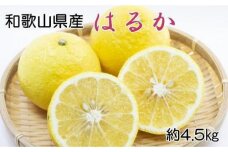 【さわやか柑橘】和歌山県産はるかみかん約4.5kg（サイズ混合　秀品）