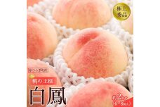 【モモ】 白鳳　桃の王様！約2kg6～8個 【2025年6月下旬頃より順次発送】【秀品】